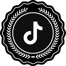 TikTok Black Social Logo